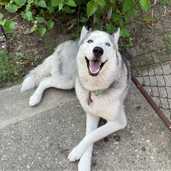 Hi! I’m Kirsten. Thanks for stopping by! Come back often for new listings! - Picture 1 of 2